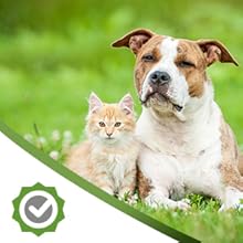 AniForte Denta Clean & Care 150g For Dogs And Cats U2013 Effective Natural Teeth Cleaning Supplement