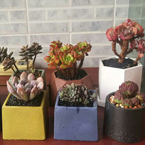 Small manufacture image 2