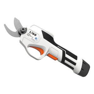 Pruner 1