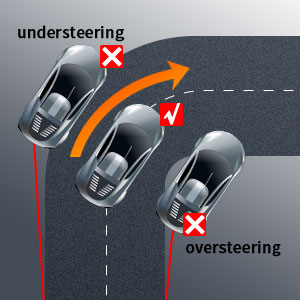 Steering wandering