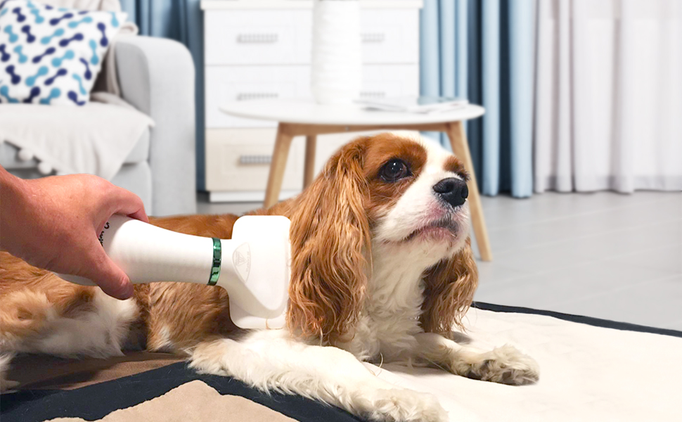 PETRIP Dog Hair Dryer Pet Dryer Professional Grooming Blower Dog