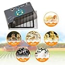 Egg Incubator Gift for Kids Fully Automatic Egg Incubator Poultry Hatcher Machine with Led Candler