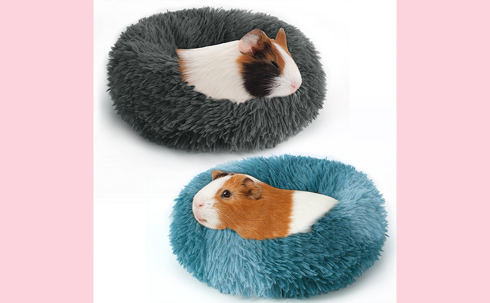 Guinea Pig Beds