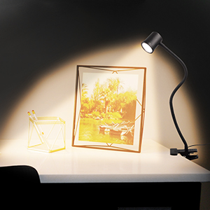 clip on book light
