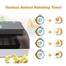 Egg Incubator Gift for Kids Fully Automatic Egg Incubator Poultry Hatcher Machine with Led Candler