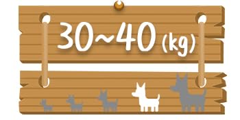 Dog Size