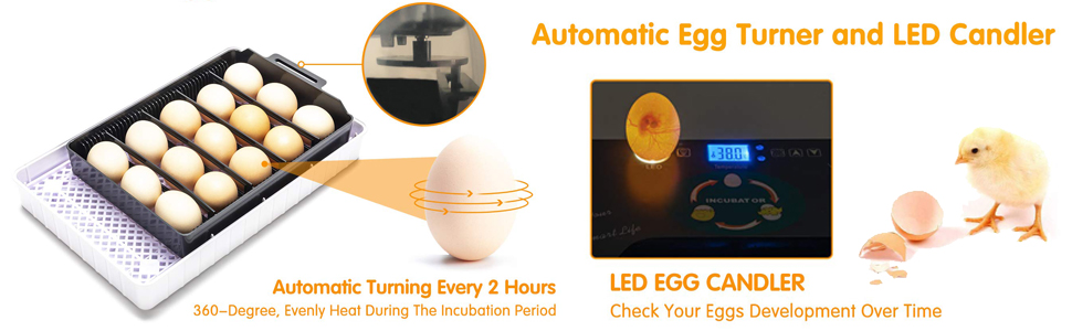 Egg Incubator Gift for Kids Fully Automatic Egg Incubator Poultry Hatcher Machine with Led Candler