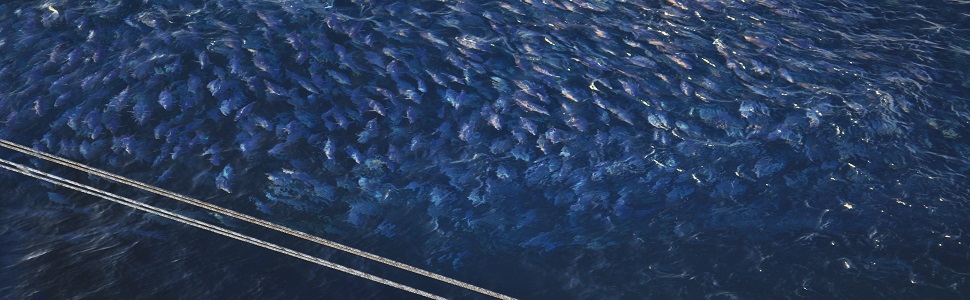 Large manufacture image 2