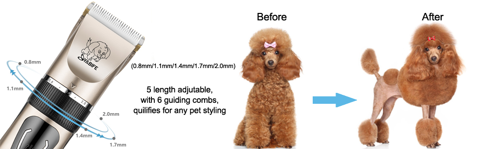 pet grooming kit