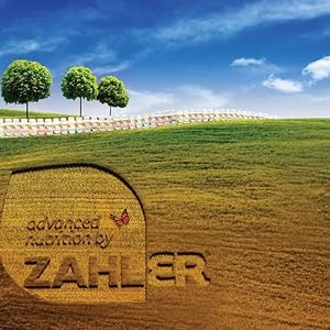 Zahler Shine, Hair Growth Supplement, Skin Hair and Nails Vitamins with Biotin, Certified Kosher, 120 Capsules 10 Image 5