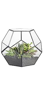 Polygon Black Metal Glass Clear Pots For Plants Led Terrarium Supplies -  Buy China Wholesale Polygon Black Metal Glass Terrarium $19.9