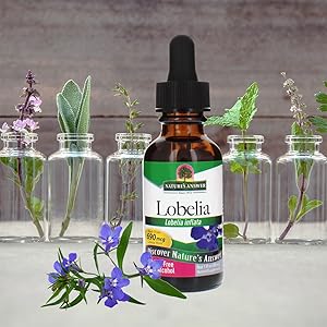 Lobelia Herb Organic Alcohol 1-Fluid Ounce water and coconut glycerin utilizing Holistically 