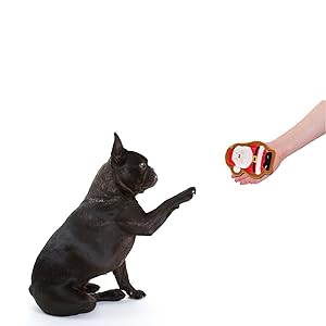 Then Plush Toy Comes Out