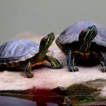 Small manufacture image 8