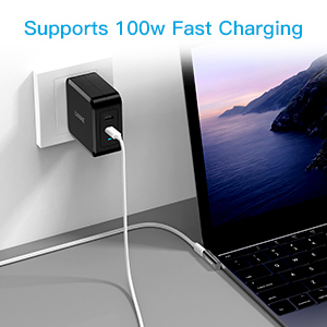 Support 100W Charger