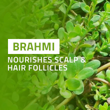 hair drink for men hair drink for men hair drink for men hair drink