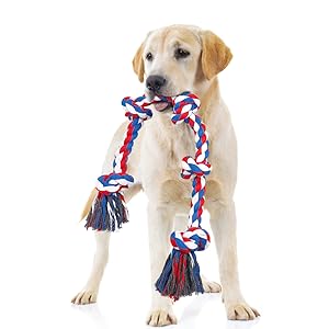 dog rope toy