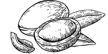 argan oil