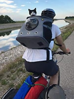 cat bubble backpack