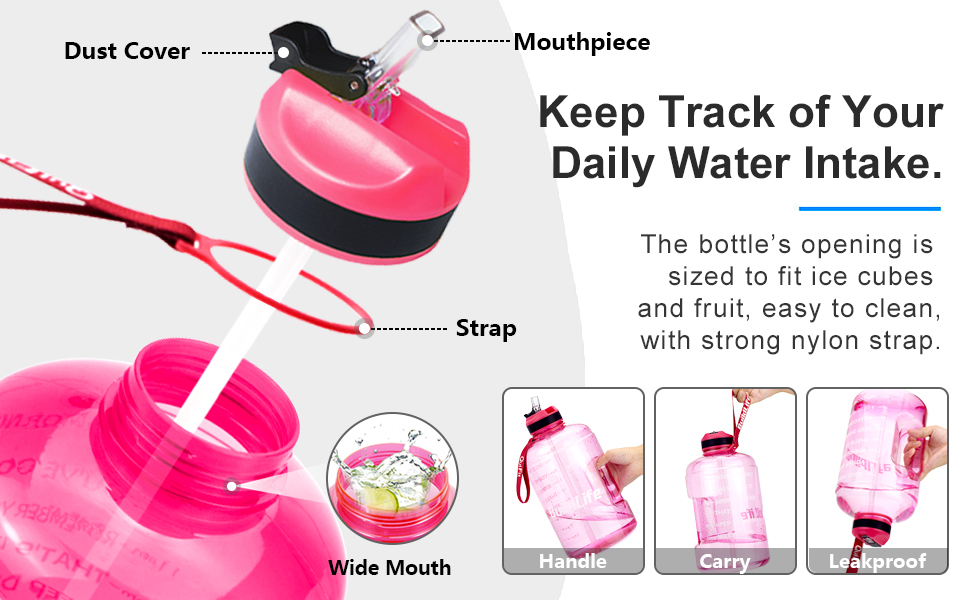 quifit water bottle