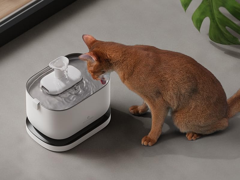Amazon.co.jp: PETLIBRO 猫 水飲み器 自動給水器 コードレス