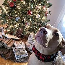 Unique style paws Dog Collar with Detachable Bow tie, Adjustable Dog Collars with Bow for Small Medium Large Dogs or Cats XXS-XL 19