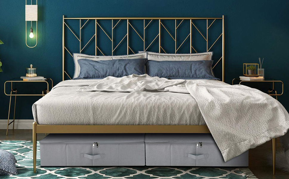 iwill CREATE PRO Under Bed Storage Containers with Lid, Underbed Shoes