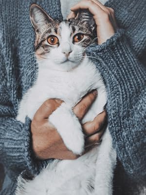 Small manufacture image 1