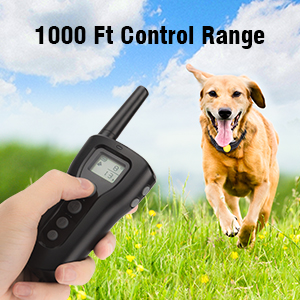 1000Ft Super Long Reach