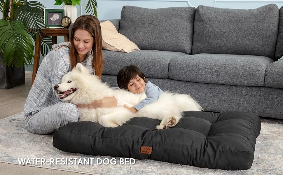 Tiger proof dog bed Clearance