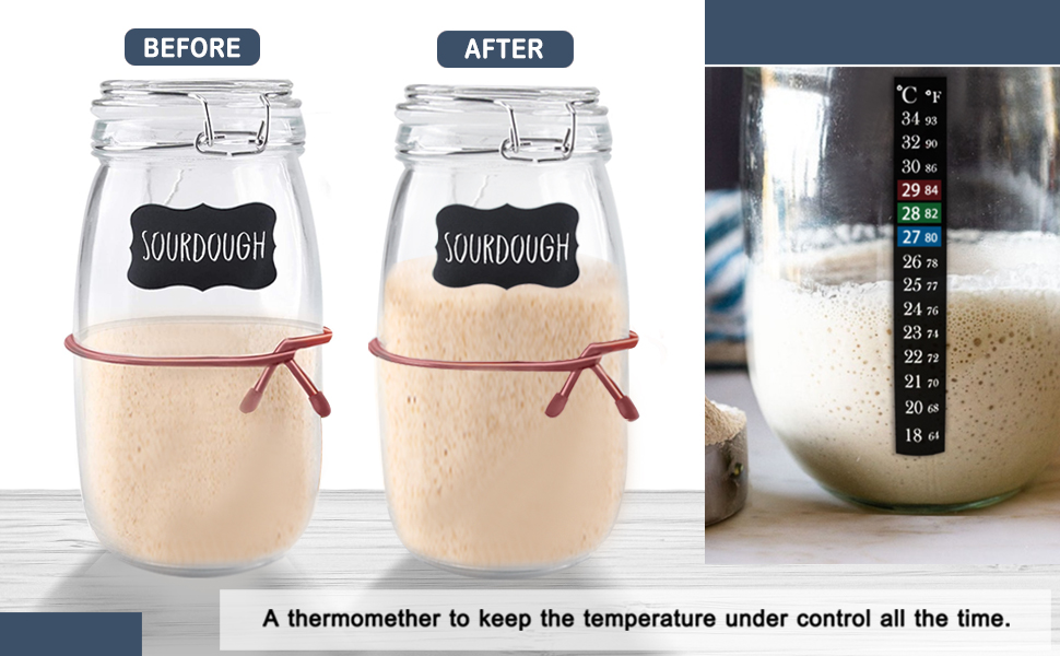 Originalidad Sourdough Starter Jar Kit, 45 Oz DIY Sourdough