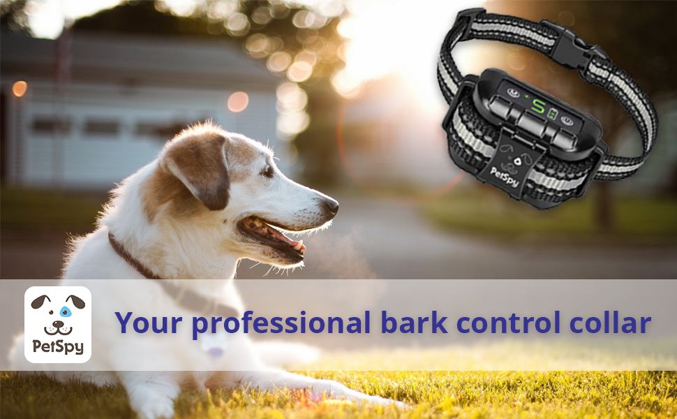Your professional bark control collar for dog