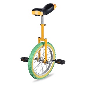 Wheel Unicycle