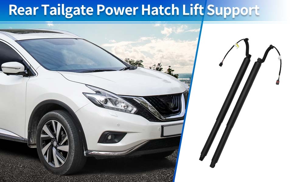 pieta soprano 1C Excellent 吊り穴付 Amazon.com: X AUTOHAUX Rear Left Right Tailgate Power Lift