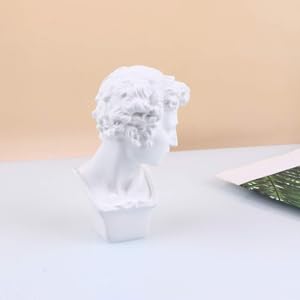 Amazon.co.jp: VORCOOL 石膏像 ダビデ像 ヴィーナス像 樹脂 置物
