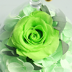 Hoomna Libra Mother S Day Birthday Gift For Grandma Mom Friend Sister Unique Zodiac Gifts For Women Preserved Real Rose Flowers Never Wither Everything Else Hoomna Libra Mother S Day Birthday Gift For Grandma Mom Friend Sister Unique Zodiac Gifts For Women Preserved Real Rose Flowers Never Wither Everything Else