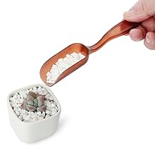 planters for succulents indoors planting tools indoor