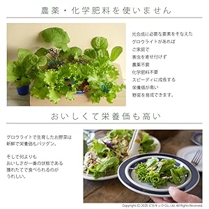 Amazon.co.jp: LEDのピカキュウ グロウライト ファンレス 薄型