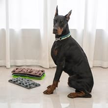 minkissy 1 Pair Puppy Adhesive Tape Stickers, Dog Ear Fixed Holder, Dog Ear Correction Accessory, Dog Ear Stretching Tool, Dog Ear Stretching Tool Kit 20 1 unidad