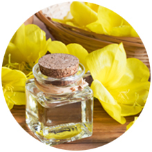 Nature's Life Evening Primrose Oil, Vegetarian PMS & Menopause Hormone Balance Skin 90ct, 90 Serv.