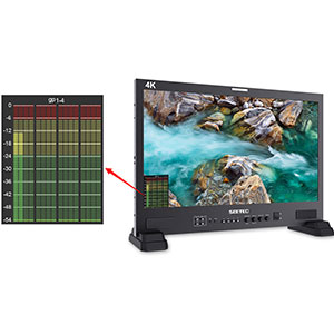 16-Channel Audio Level Meters