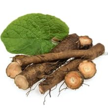Burdock Root