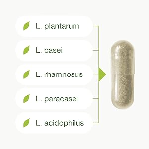 capsule
