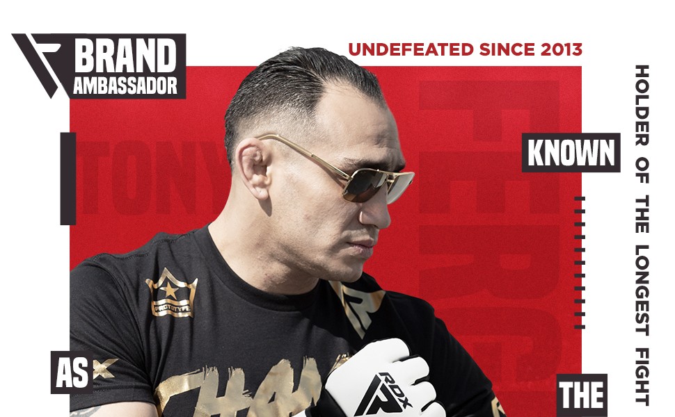 MMA Gloves for Martial Arts Grappling Training