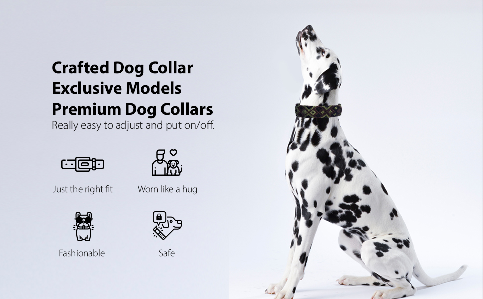 GUAYABAL Mexican Premium Handcrafted Dog Collars Aztec