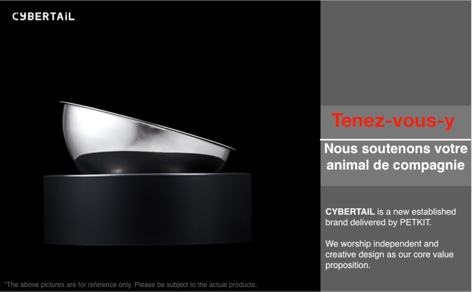 PETKIT CYBERTAIL Bol Surélevé Pr Chat En Acier Inoxydable, Inclinés Bols De Nourriture Pr Chat, Bols D'alimentation Antidérapants Sans Déversement Pr Chats Et Petits Chiens 17 Machine à nourriture pour chat et chien