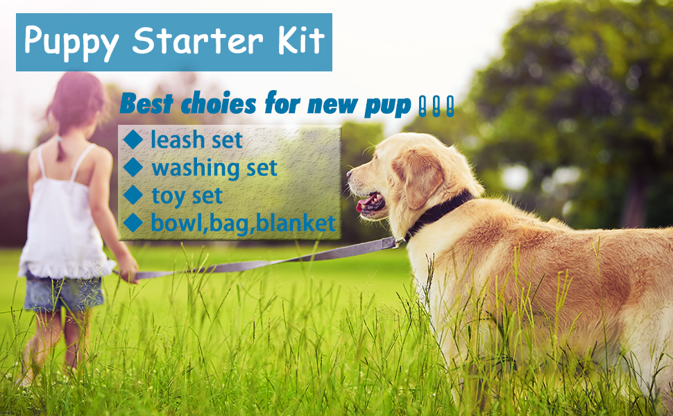 Pet Supplies Puppy Starter Kit, Dog Accessories for Small and Medium