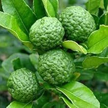 Small manufacture image 7