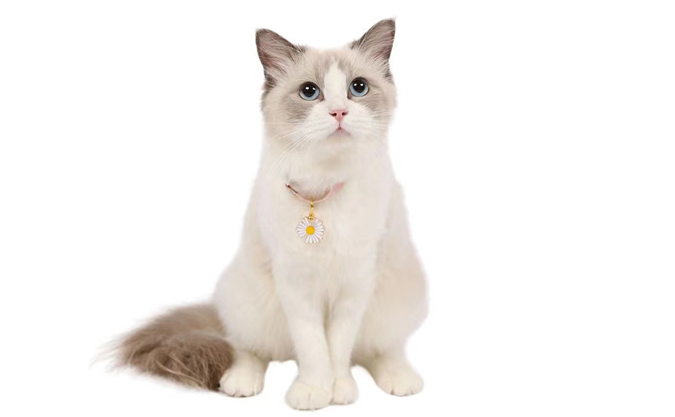 Xdgdsdf 猫 首輪 猫の首輪 猫用首輪 ネコ セーフティバックル付 安心と信頼 ペット首輪 おしゃれな和風モダン 安全 イエロー花 Xdgdsdf 猫 首輪 猫の首輪 猫用首輪 ネコ セーフティバックル付 安心と信頼 ペット首輪 おしゃれな和風モダン 安全 イエロー花