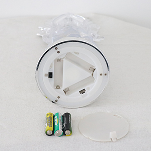 Battery Angle Snow Globe